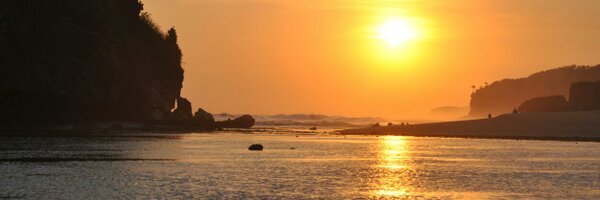 T_Astutiningrum Profile Banner