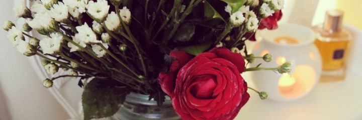 zea_ulfa's profile banner image