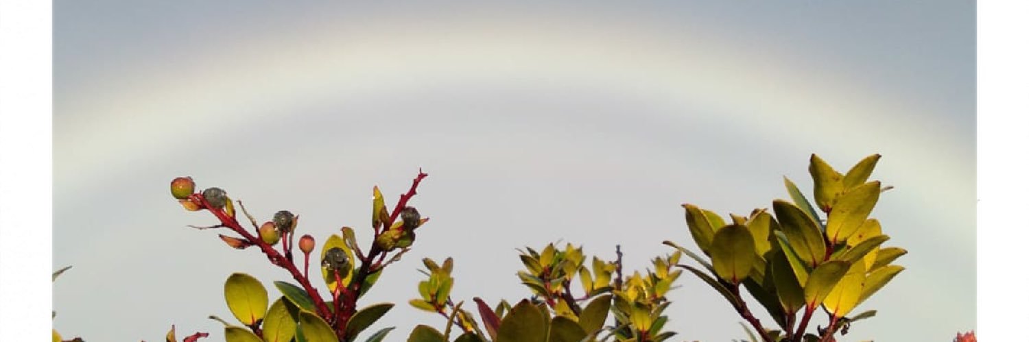 ___iney's profile banner image