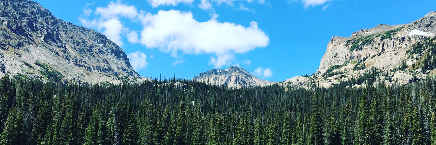 Ashley Wheeland Weaver banner