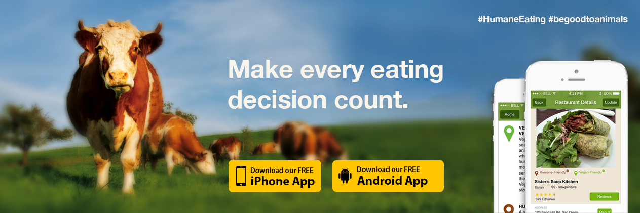 HumaneEating's profile banner image