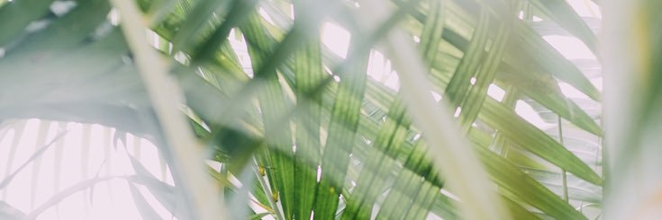 jennygracem's profile banner image