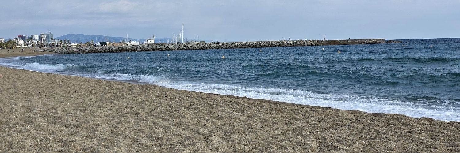 marpastorini's profile banner image