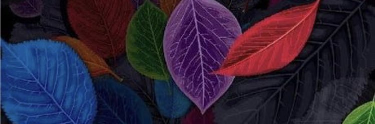 _BrendaBravo's profile banner image
