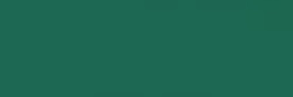 Twizzy Rich banner