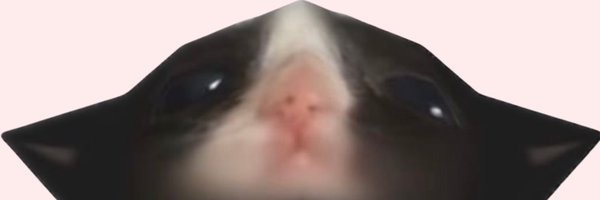 kennatration Profile Banner