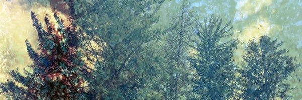 Victoria Levine banner
