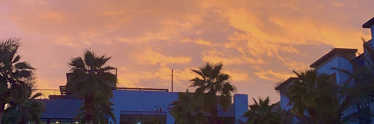 Mackenzie ☀️ banner