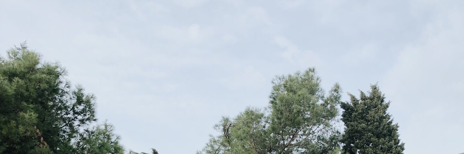robsvensek's profile banner image