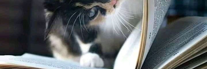 Black Cat Intelligence. banner