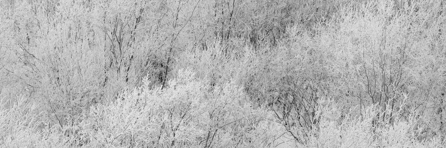 fridaymilk's profile banner image