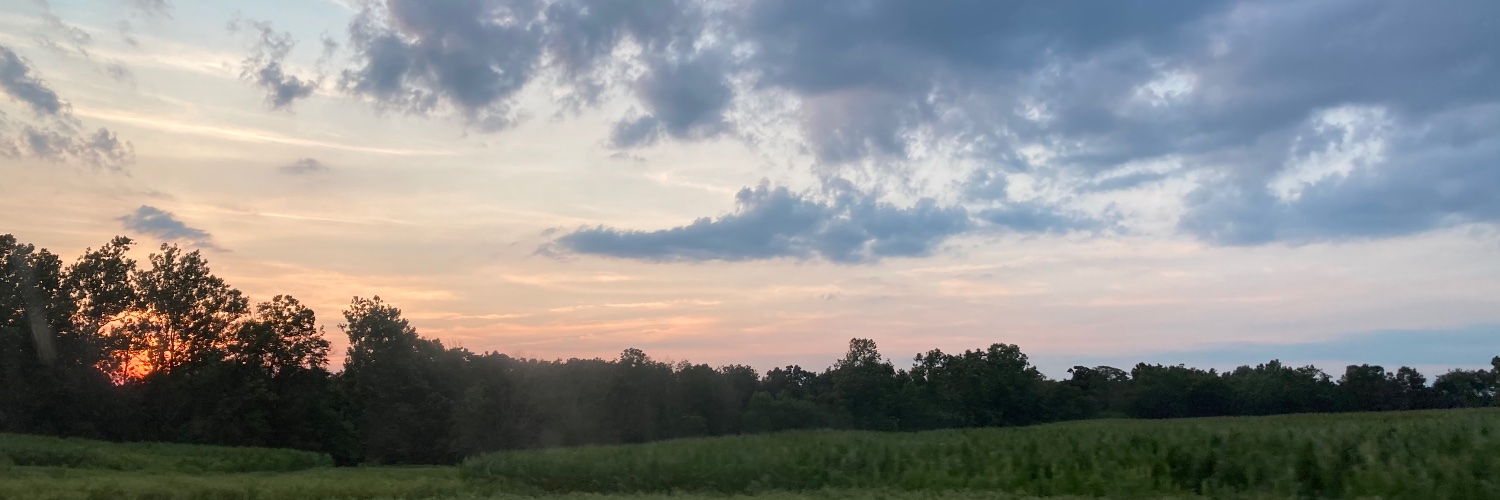 CategoryIsLive's profile banner image