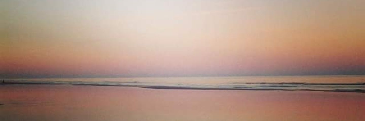 jrossnjax's profile banner image