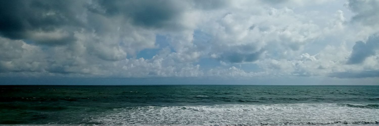 vaulinna's profile banner image