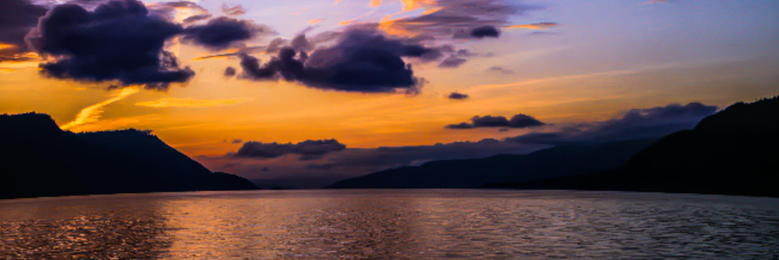 aldi_wicaksono's profile banner image