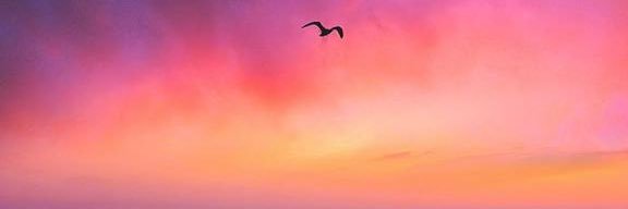 tugbaeroglu's profile banner image
