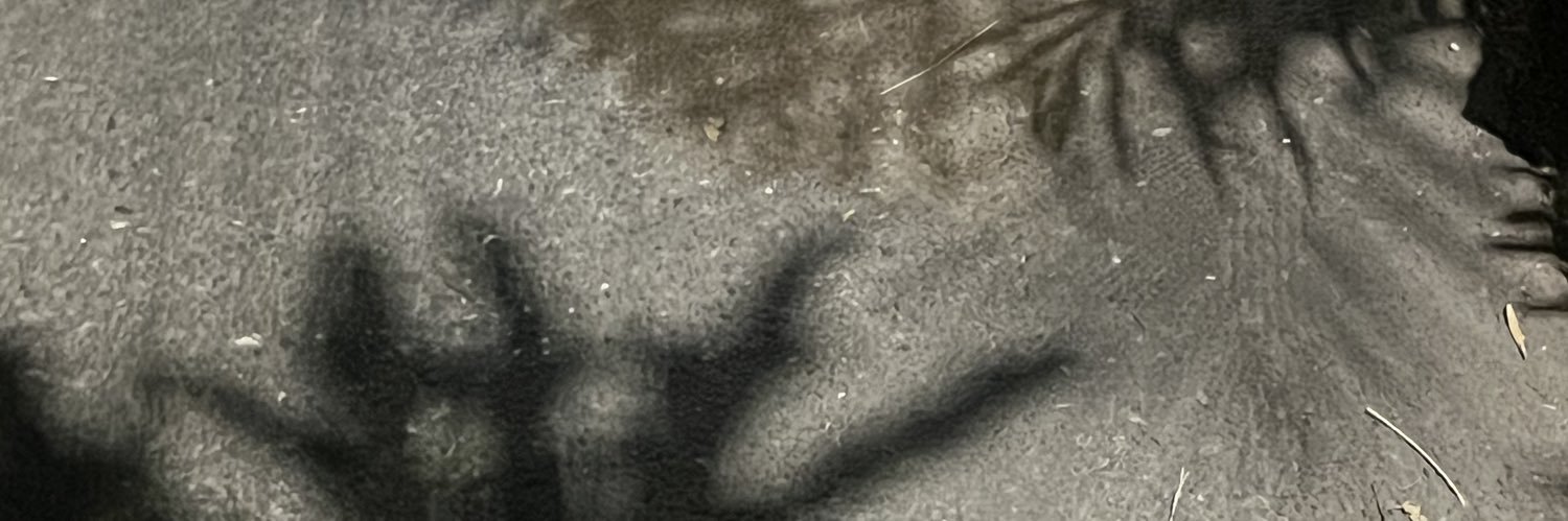 sabbysosa's profile banner image