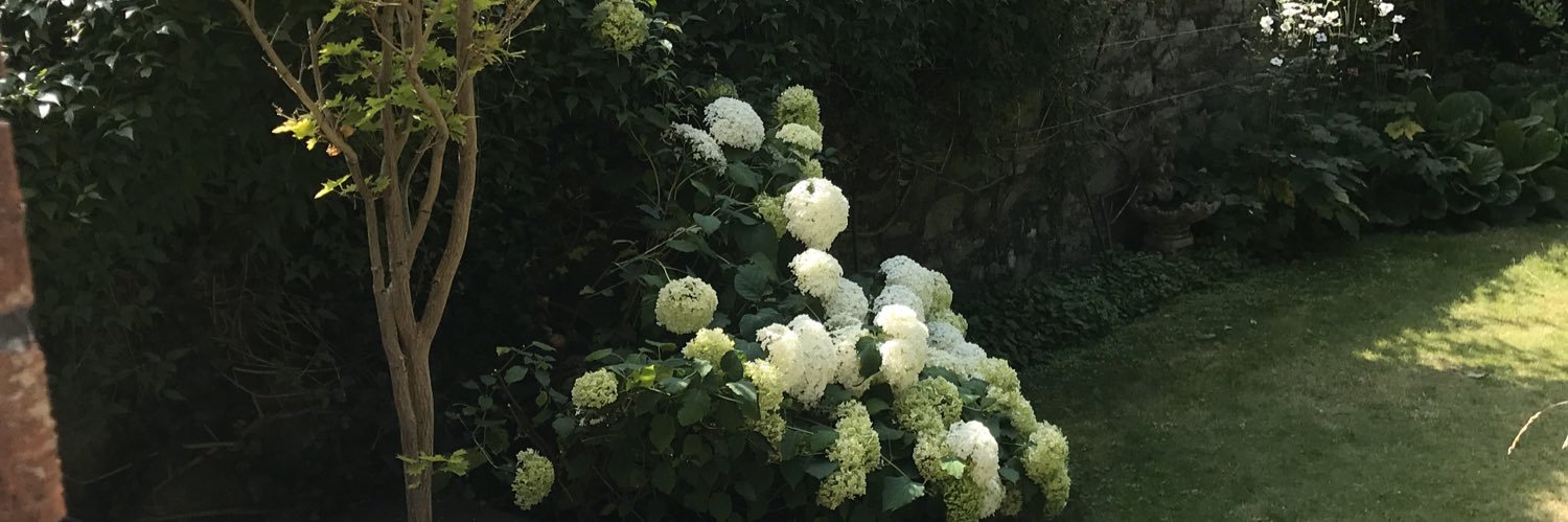 TamaraKear's profile banner image