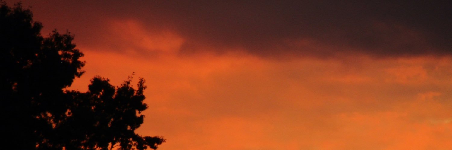 cassiegallimore's profile banner image