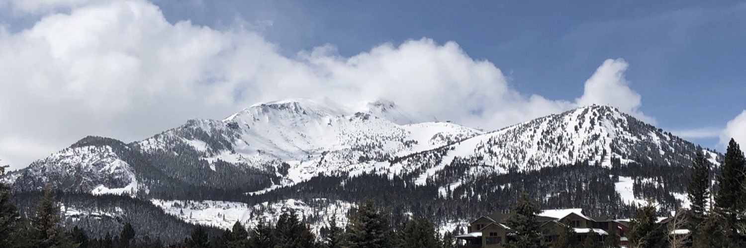 Tracy Edmisten banner