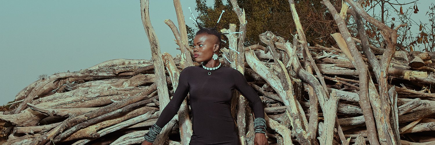 Wiyaala's profile banner image