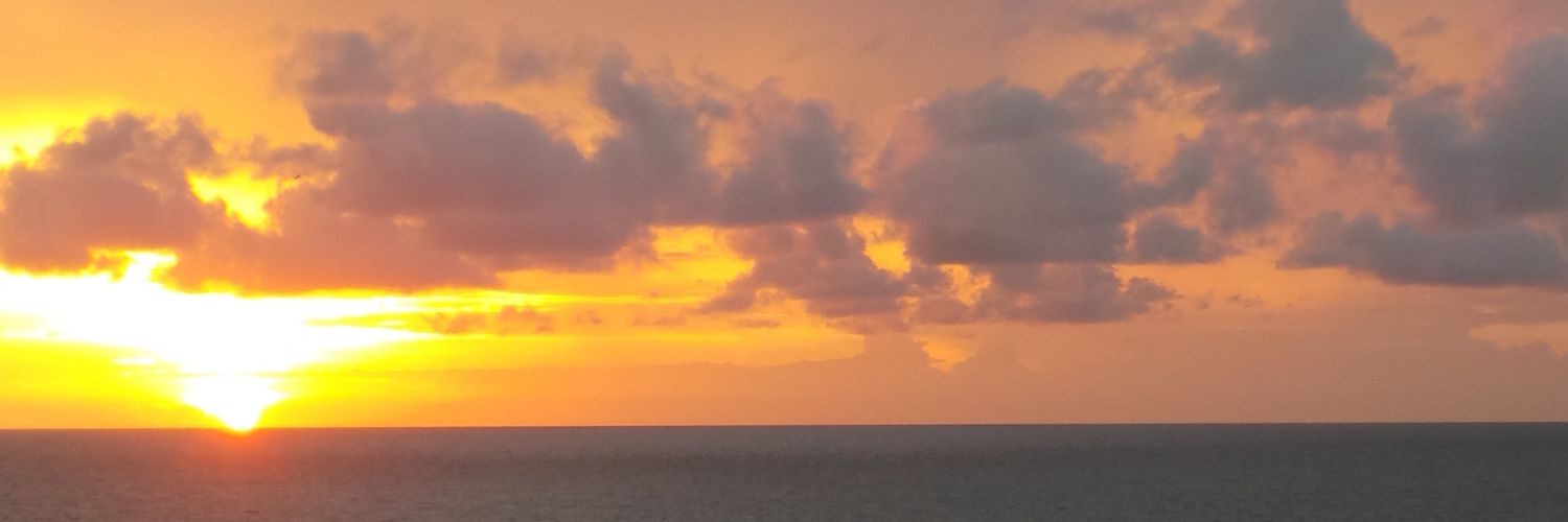 Stuart Searle banner