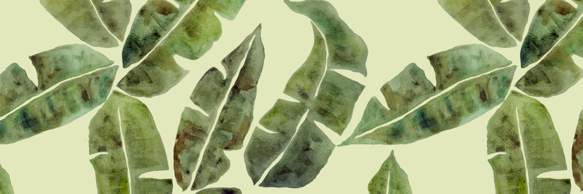 ohpuhleez's profile banner image