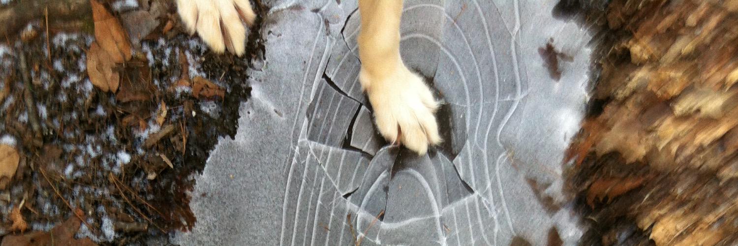 JeffG's profile banner image
