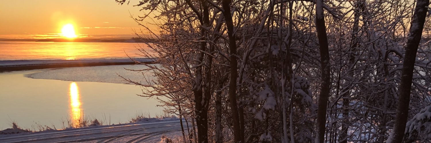 AndreaCurley's profile banner image