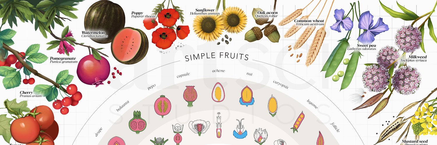 bpermaculture's profile banner image