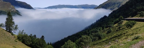 PonsPep Profile Banner