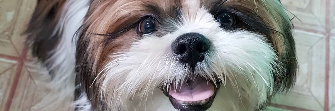 ohr0n's profile banner image