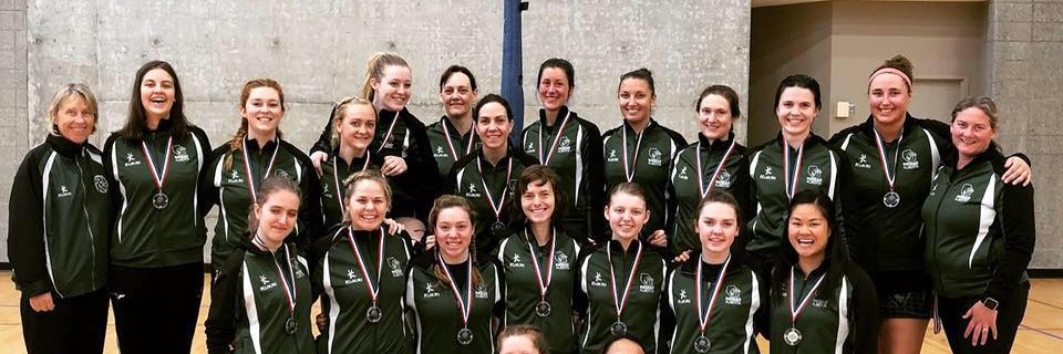 Netball_Alberta's profile banner image