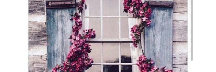 dilanaltunbay's profile banner image