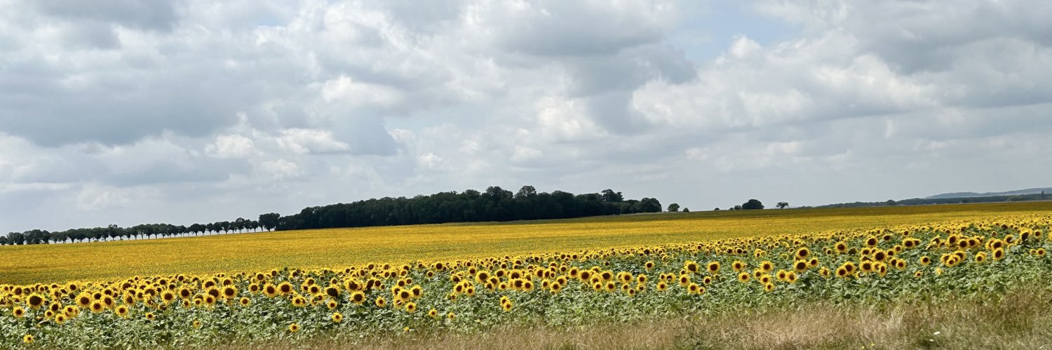 Kim Jarrett banner