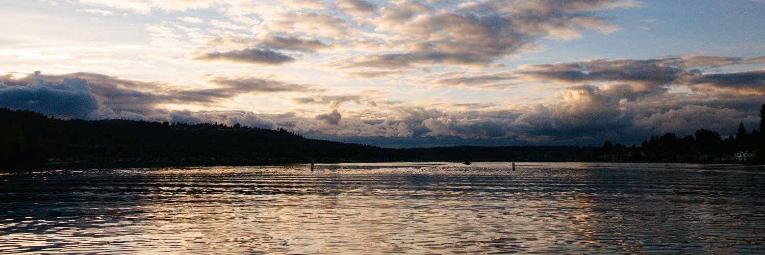 King County Executives Braddock & Constantine banner