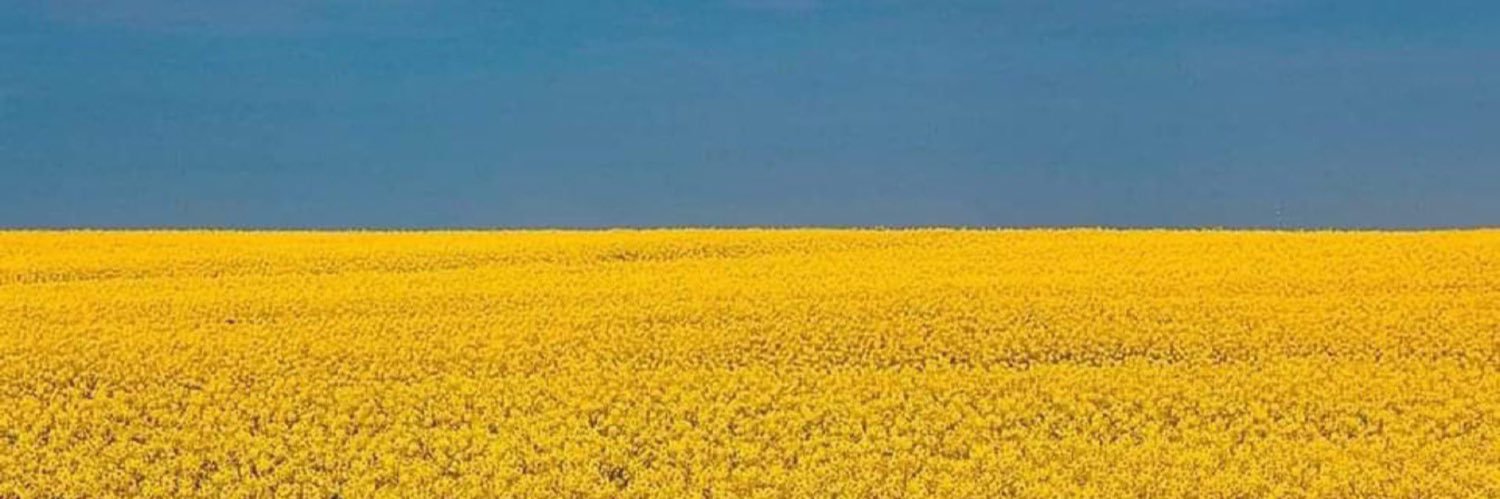 MebMaureen's profile banner image