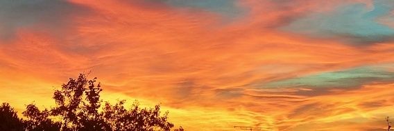 Djo Djo banner