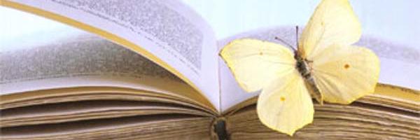 Carlaalfonso's profile banner image