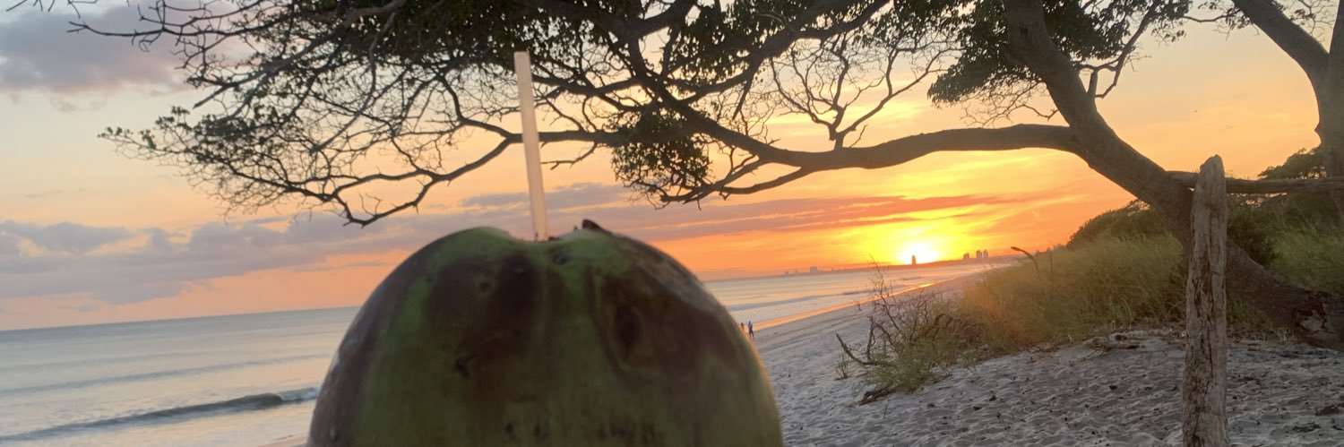 Lilidgp's profile banner image