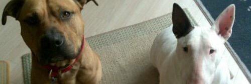 RachaelWare3's profile banner image