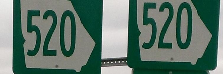 SouthwestGaNetwork banner