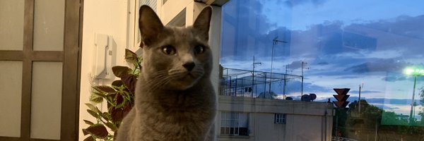 teueur Profile Banner