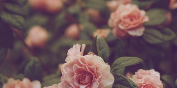 valentinastyl's profile banner image