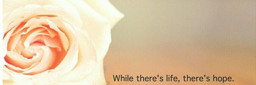ReaRamela's profile banner image