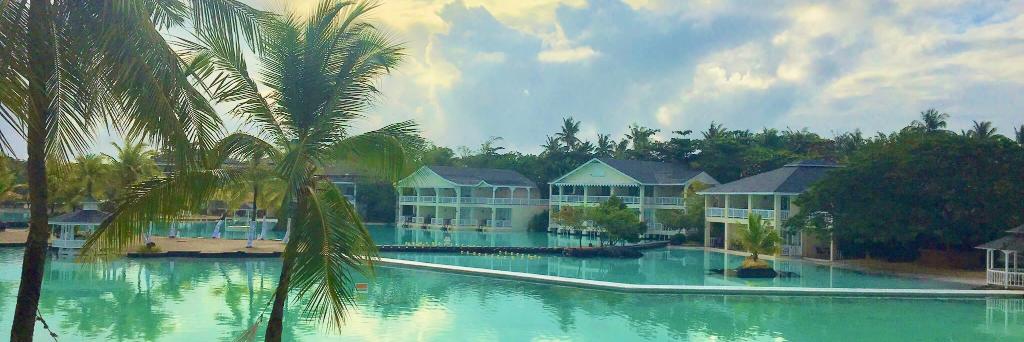 ゆいてすと banner