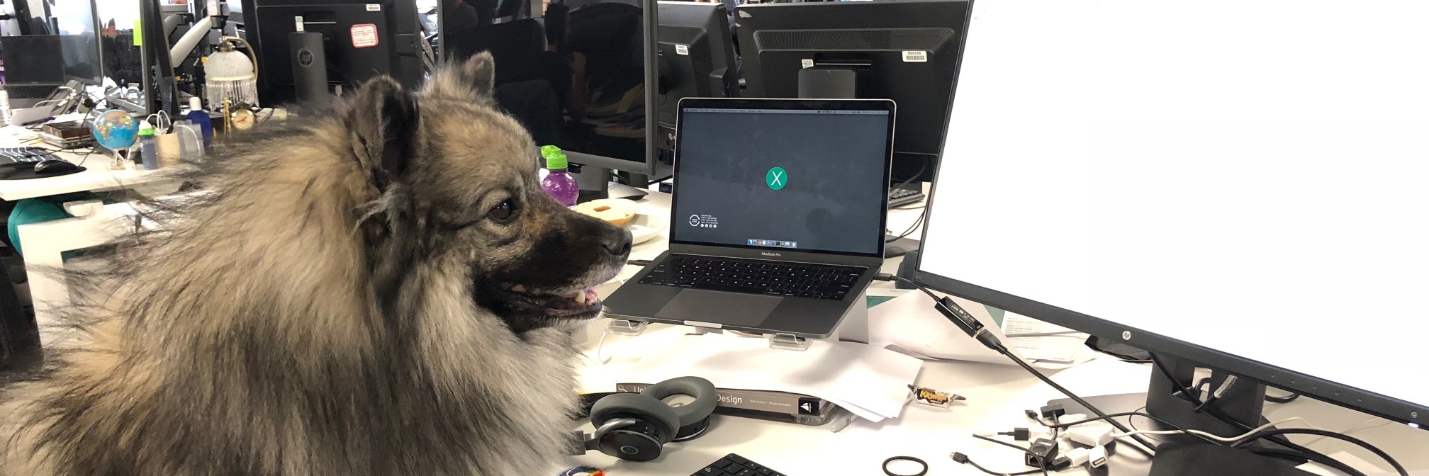 Steven Hansen banner