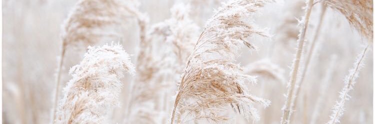 nnatta3's profile banner image