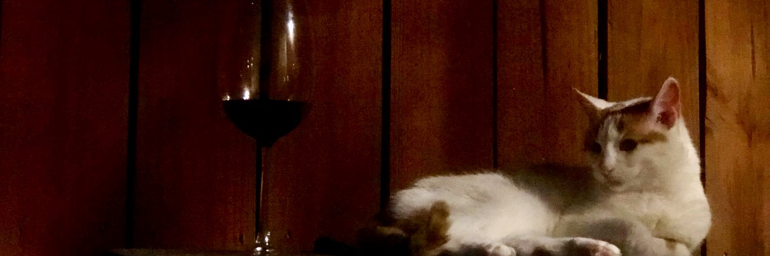 mkiely24's profile banner image