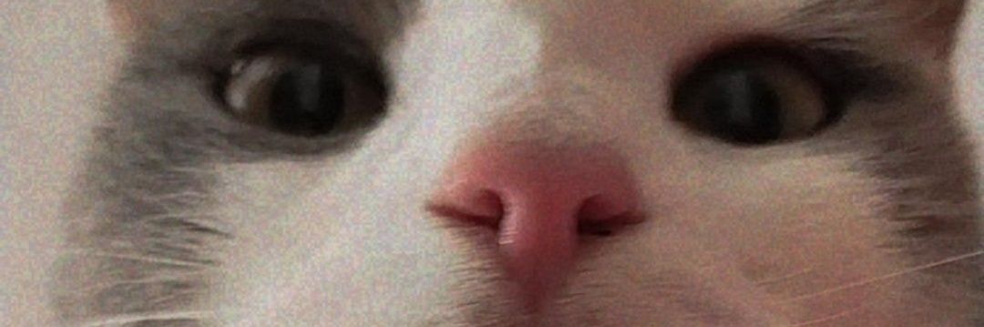 sssalmi's profile banner image